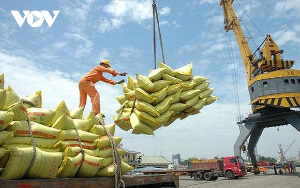 Vietnamese rice makes up 84% of Filipino rice imports